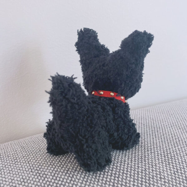 A Black Puppy with Pointy Ears