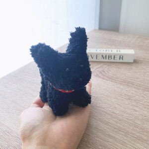A Black Puppy with Pointy Ears