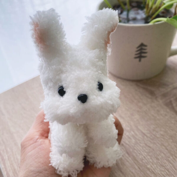 An Adorable Bunny
